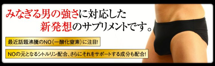 NEWストロングミサイルは漲る男の強さに対応した新発想のサプリメントです。最近話題を集めているNO（一酸化窒素）に注目して開発されました。NOの元となるシトルリンを配合していて、さらにシトルリンの働きをサポートする成分も配合しています。