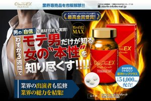 シドルフィンEXハイグレード