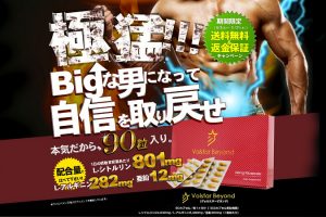 ヴォルスタービヨンド